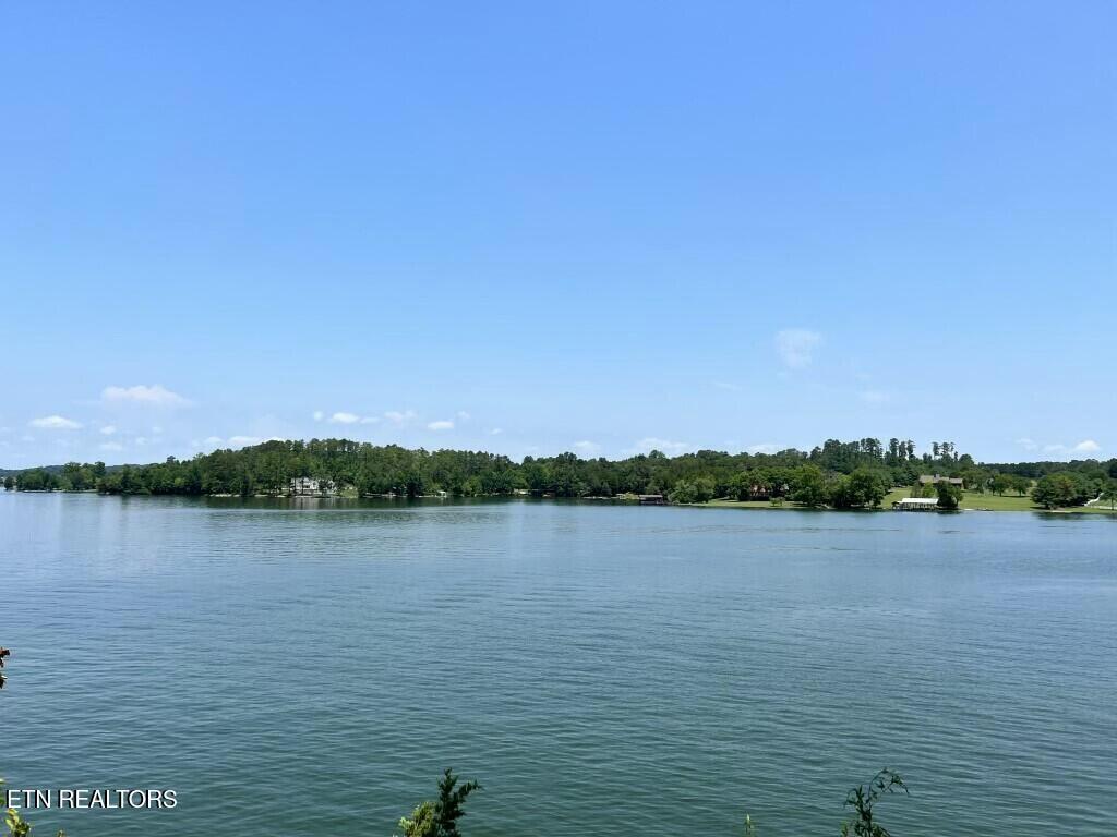 Donaldson Light Lane, Lenoir City, TN - Fort Loudoun and Tellico Lake Real Estate - Image# 20