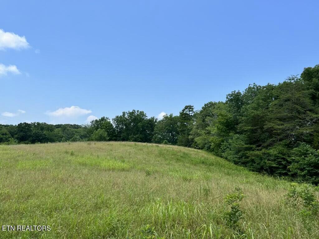 Donaldson Light Lane, Lenoir City, TN - Fort Loudoun and Tellico Lake Real Estate - Image# 21