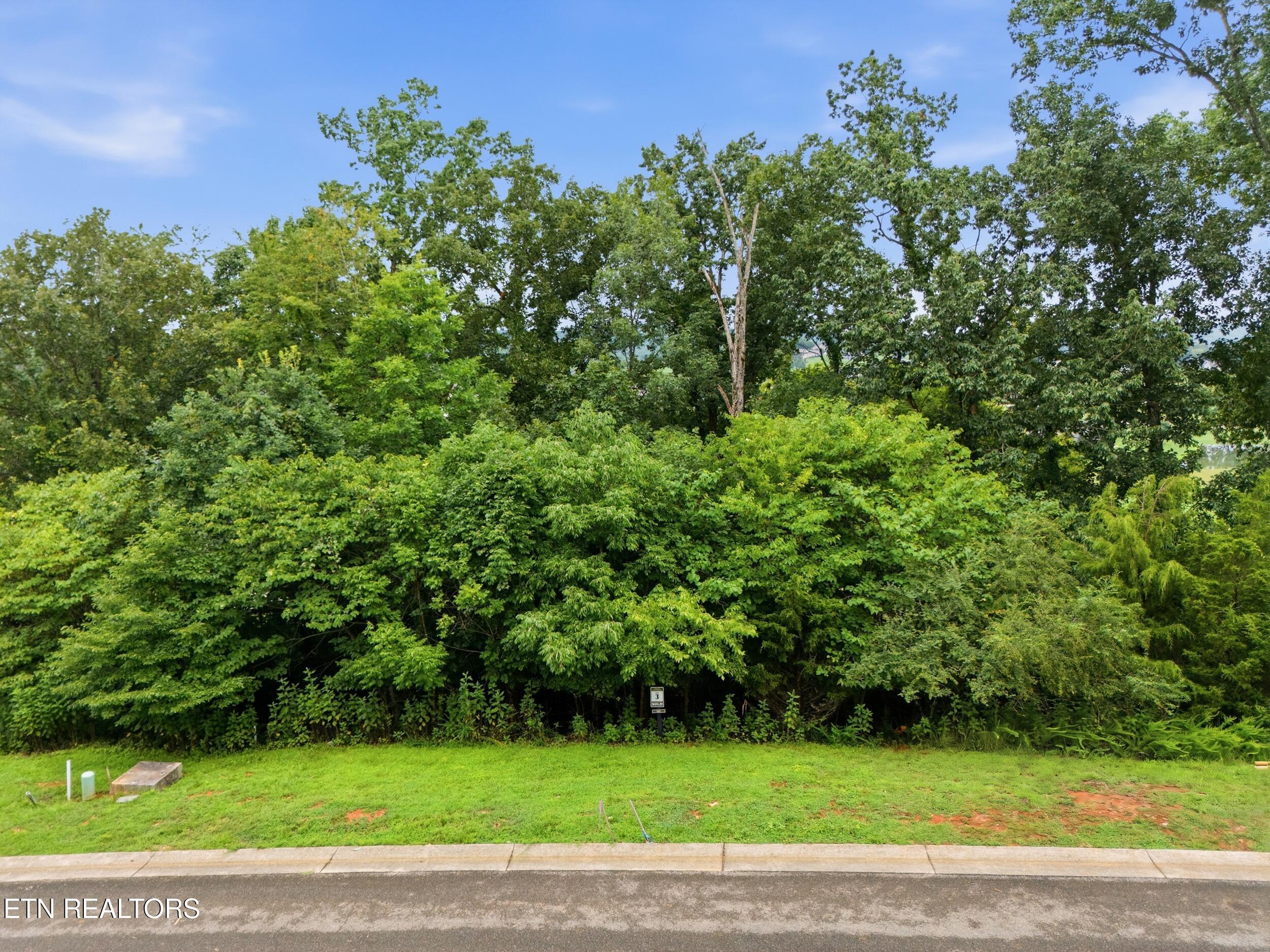 529 Black Cove Lane, Loudon, TN - Fort Loudoun and Tellico Lake Real Estate - Image# 6
