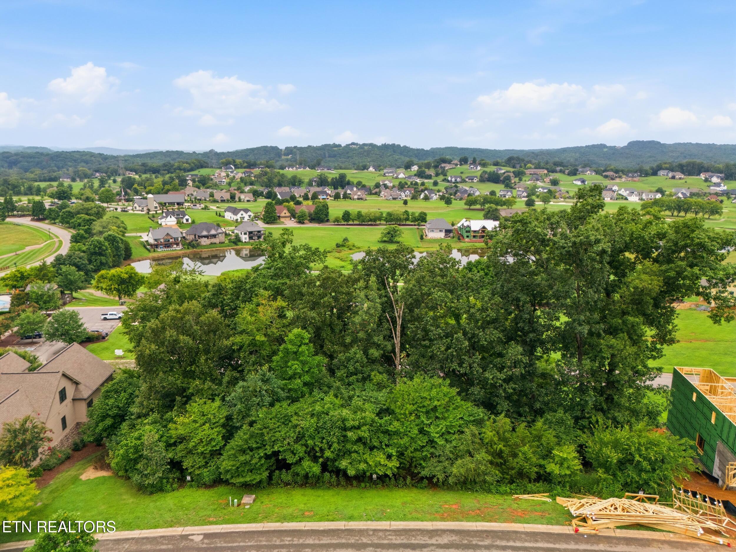 529 Black Cove Lane, Loudon, TN - Fort Loudoun and Tellico Lake Real Estate - Image# 7