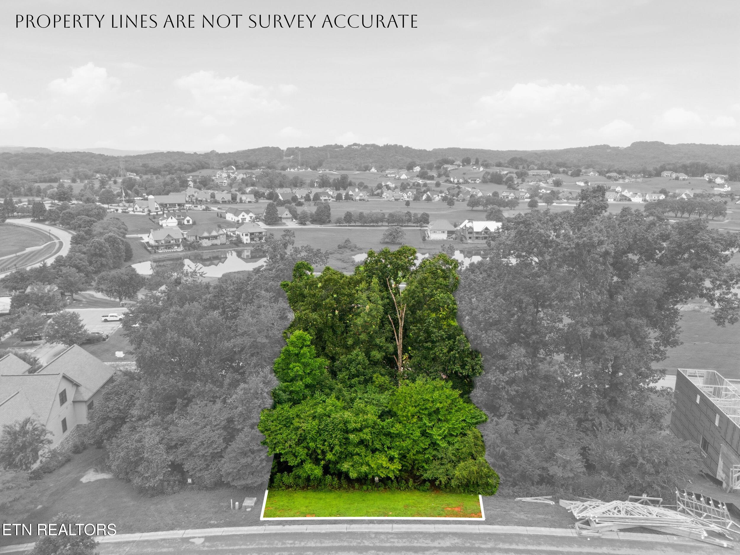 529 Black Cove Lane, Loudon, TN - Fort Loudoun and Tellico Lake Real Estate - Image# 8