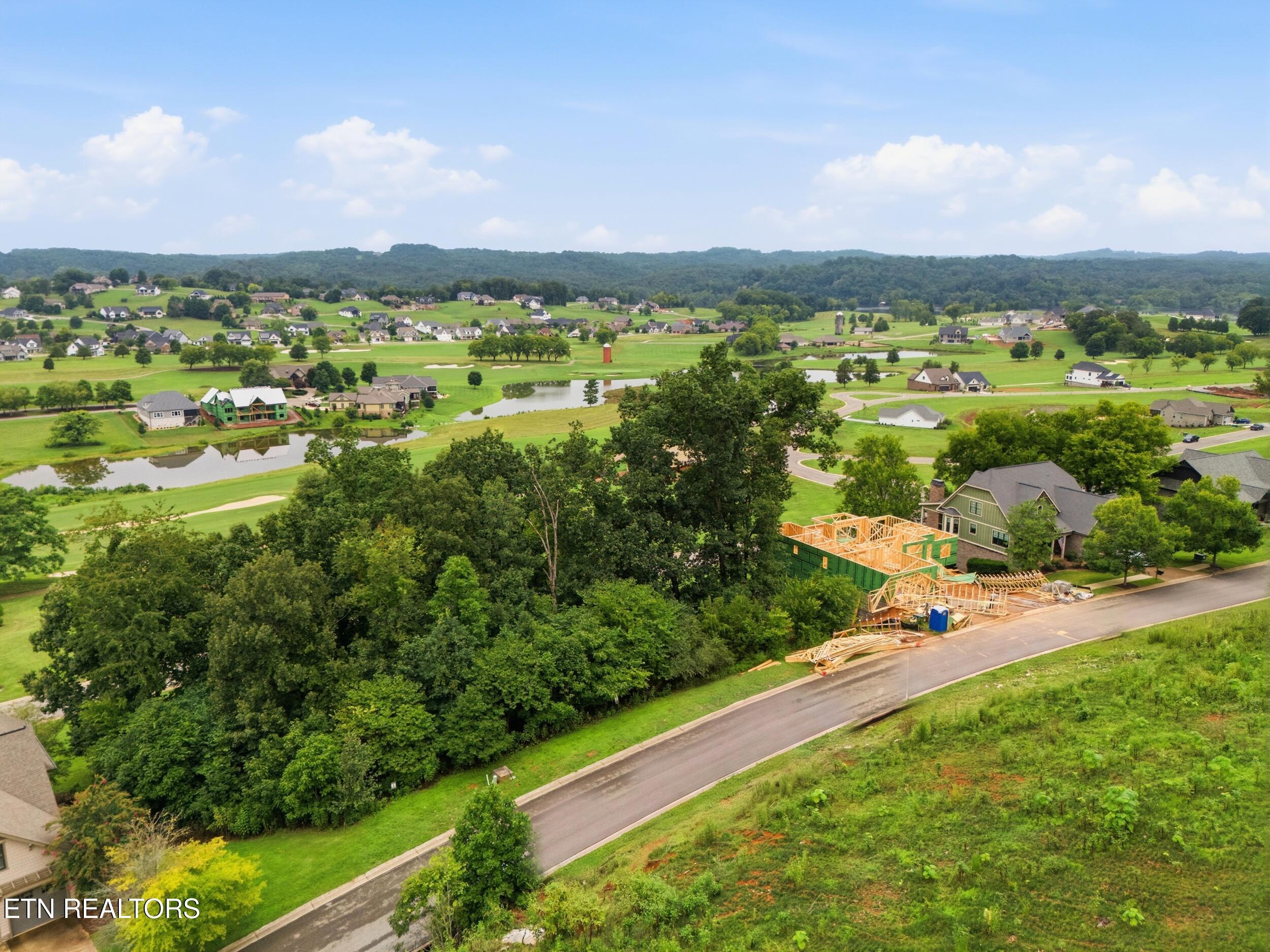 529 Black Cove Lane, Loudon, TN - Fort Loudoun and Tellico Lake Real Estate - Image# 4