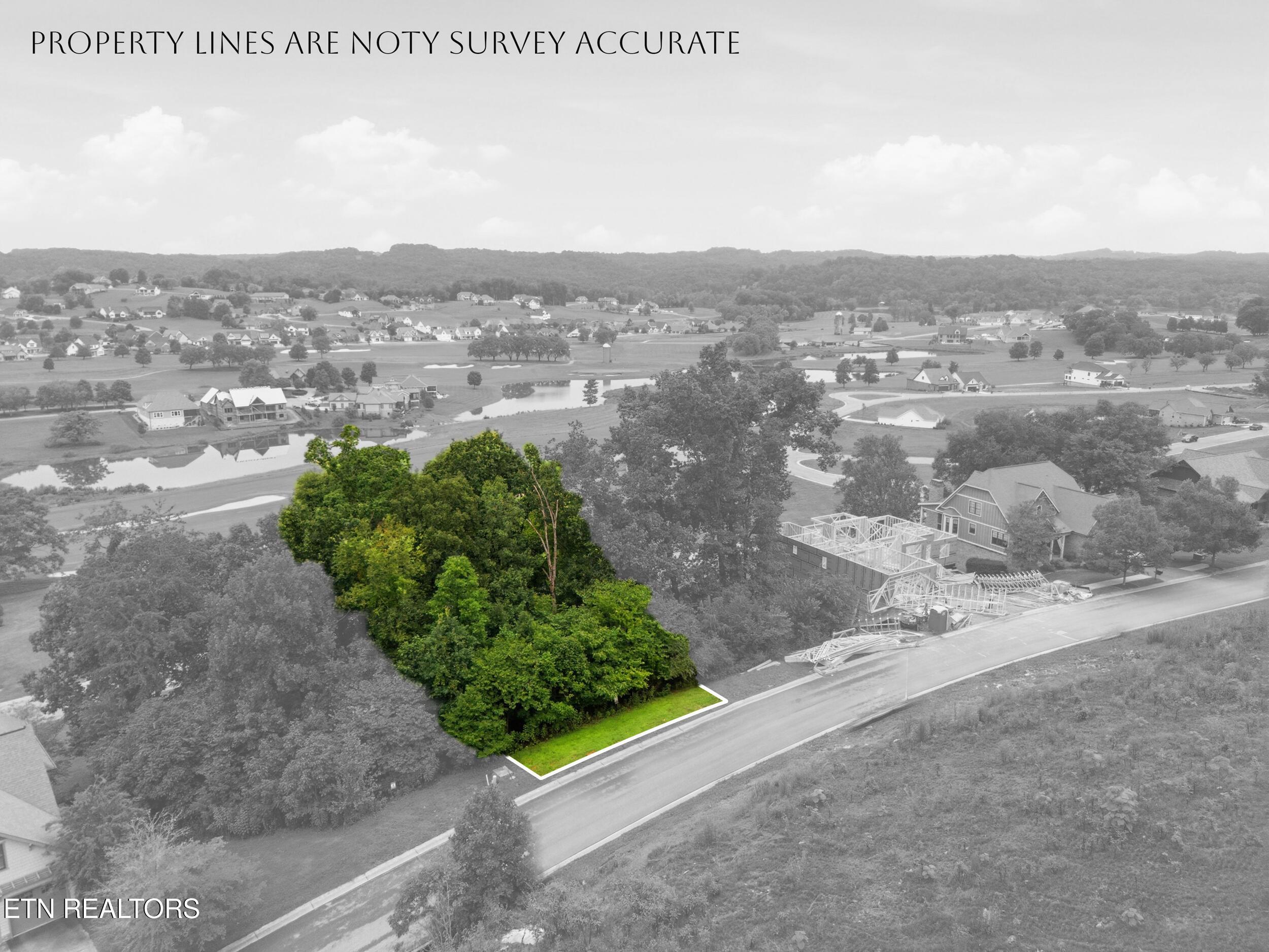 529 Black Cove Lane, Loudon, TN - Fort Loudoun and Tellico Lake Real Estate - Image# 5