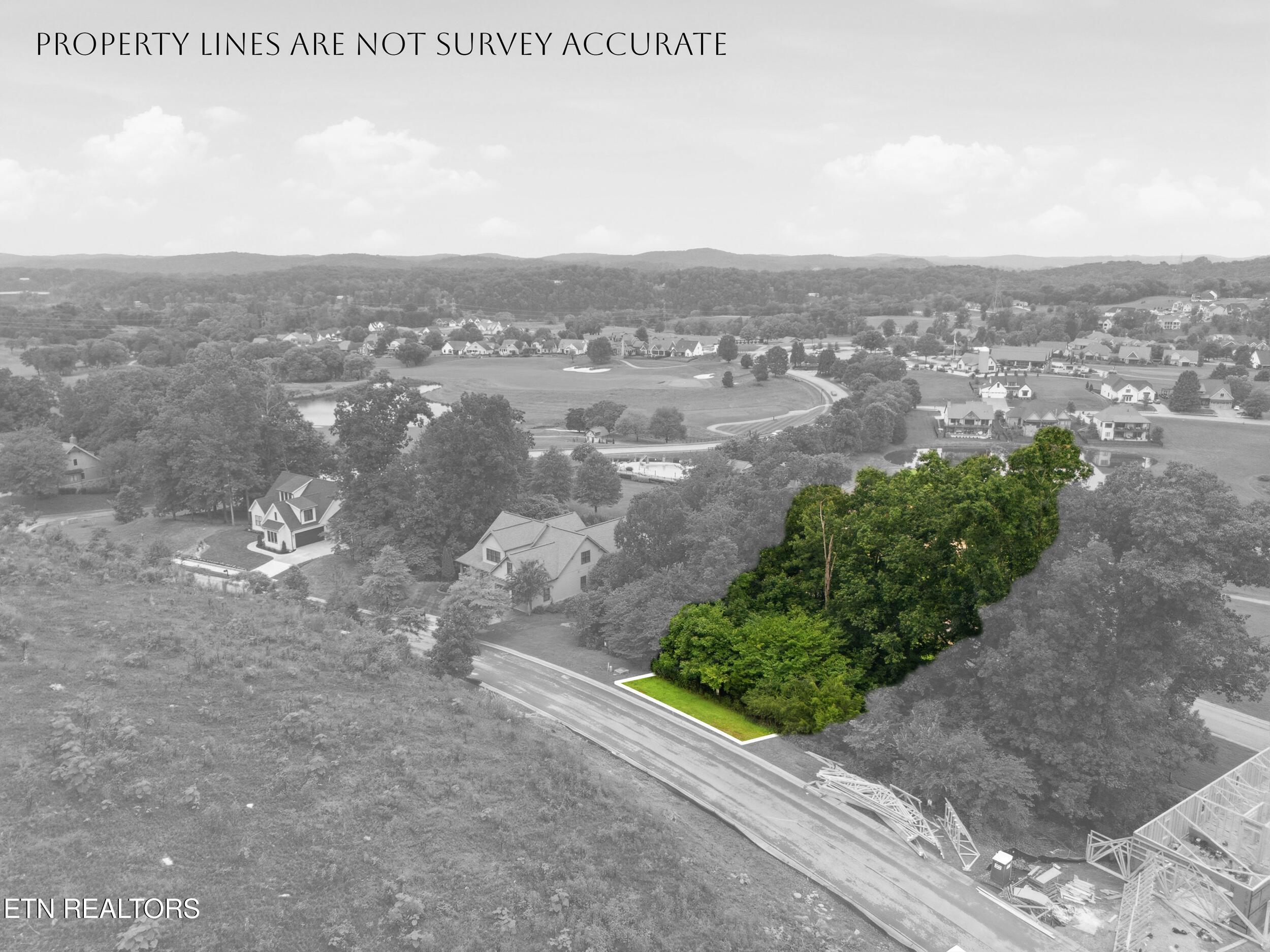 529 Black Cove Lane, Loudon, TN - Fort Loudoun and Tellico Lake Real Estate - Image# 10