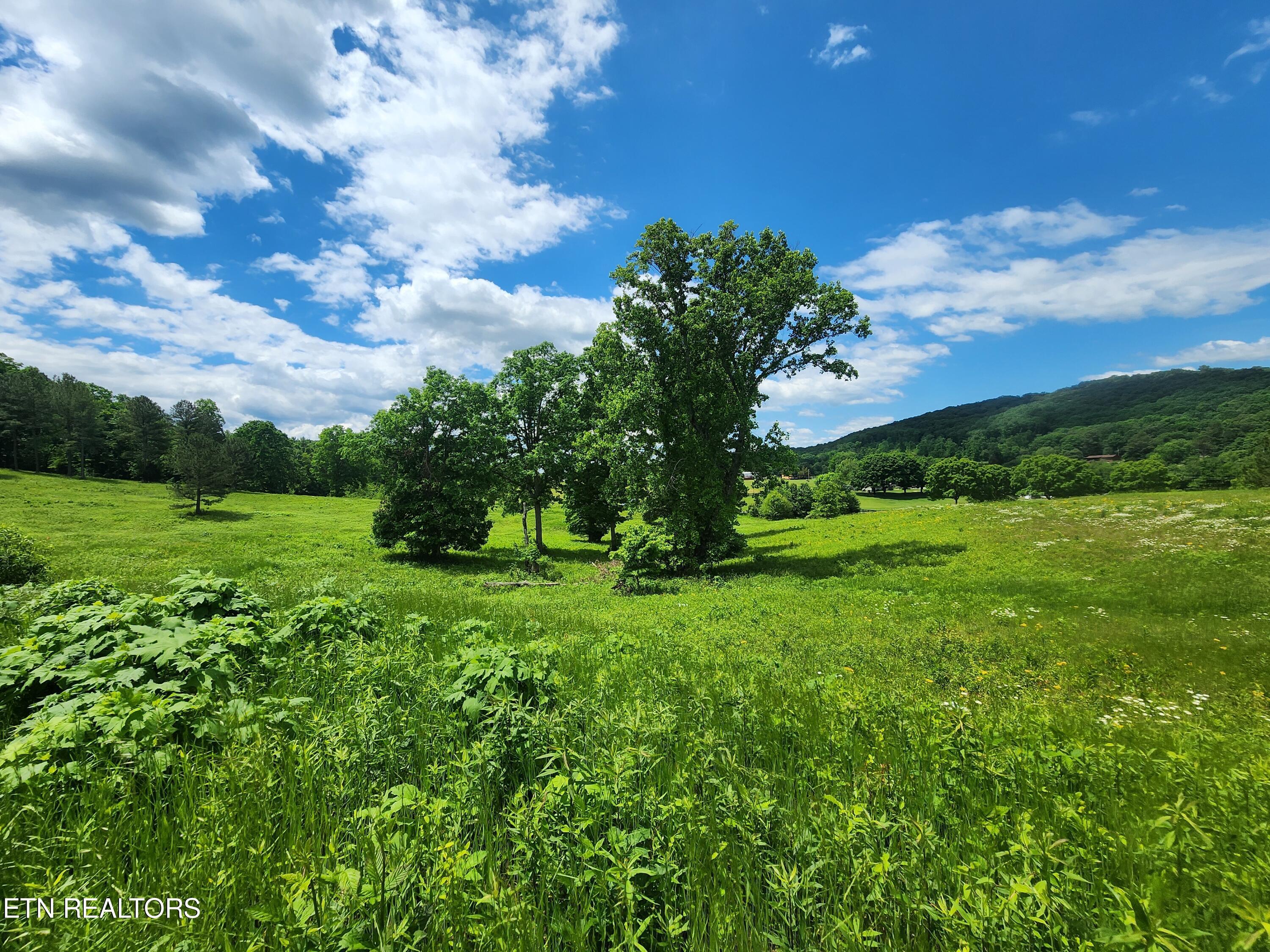 Fort Loudoun and Tellico Lake Real Estate - Image# 4
