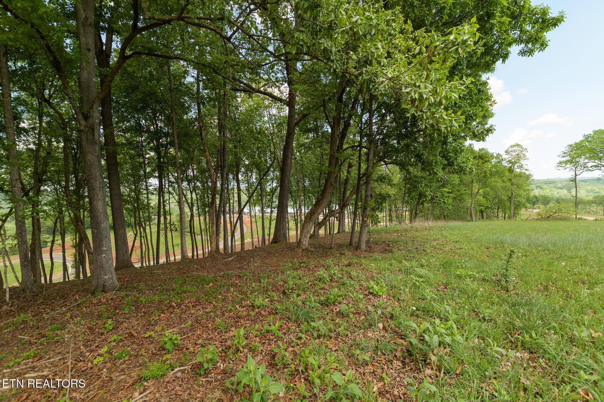 Fort Loudoun and Tellico Lake Real Estate - Image# 20
