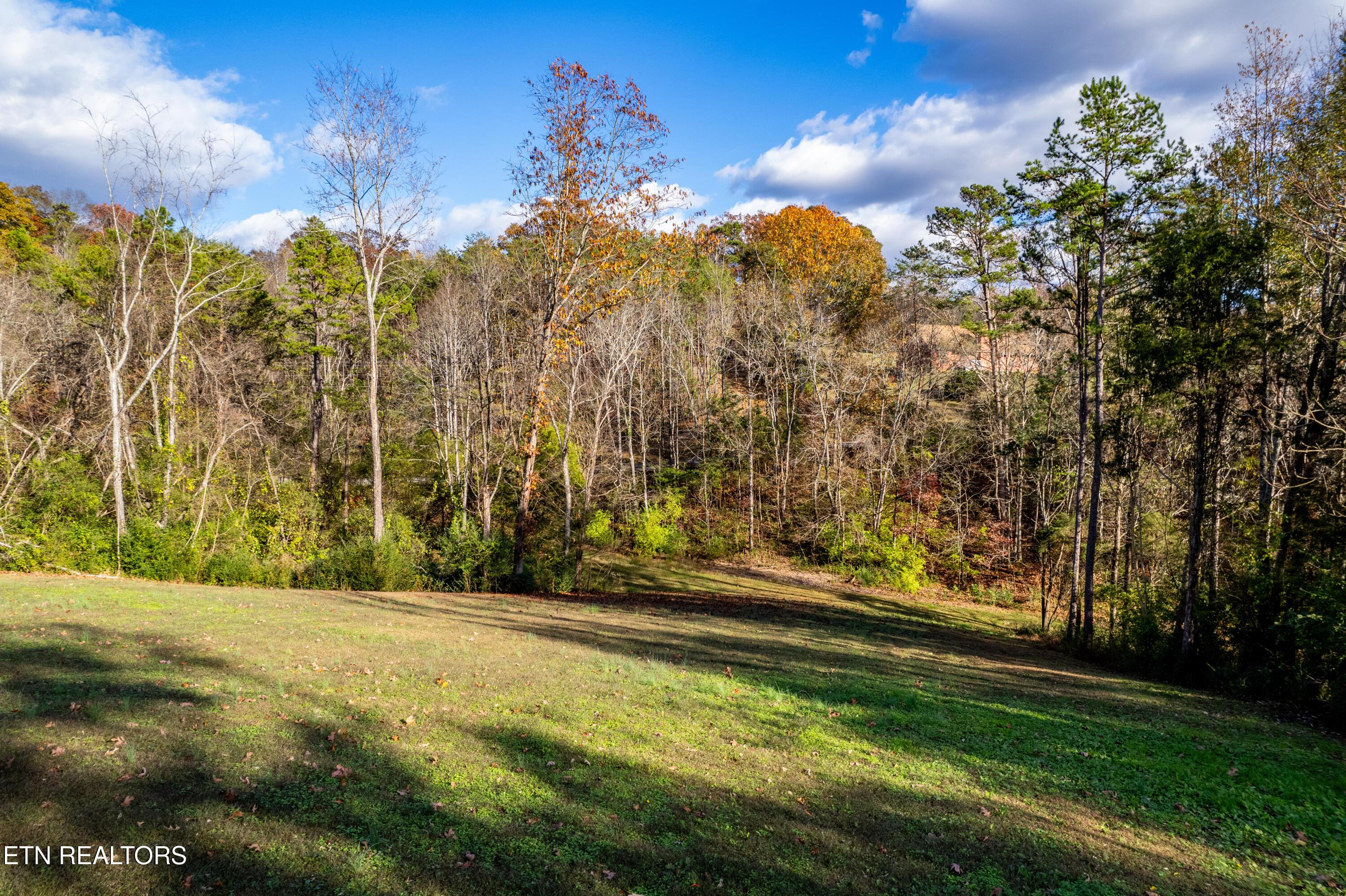 Fort Loudoun and Tellico Lake Real Estate - Image# 47